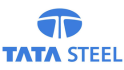 Steel Sector